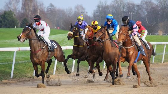 Scommesse cavalli Betflag