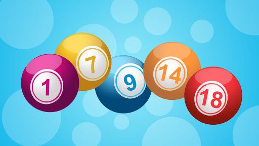Bingo online 2020: le migliori piattaforme per giocare e novità