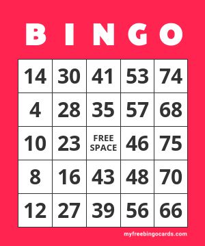 Bingo Microgame: info e funzionamento, opinioni, pro e contro
