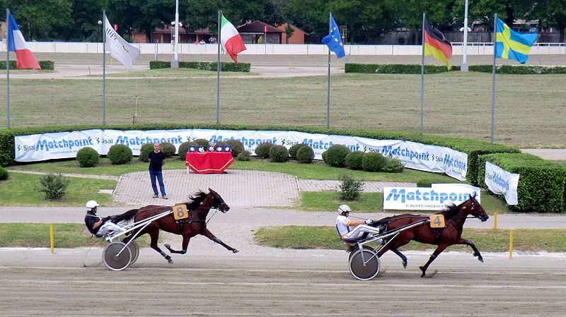 sisal matchpoint